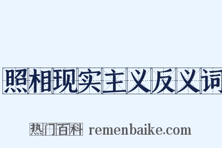 照相现实主义反义词是什么意思的图片
